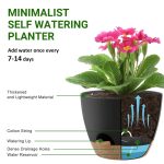 FOUKUS Set of 5 Self-Watering Plant Pots with Drainage – Eco-Friendly Plastic Planters for Indoor & Outdoor Use – Pots for Succulents, Cactus, Snake Plants (7, 6.5, 6, 5.5, 5) – Green - Image 16